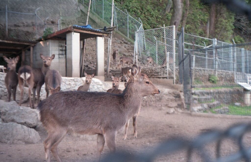 昨日　フィルムにて