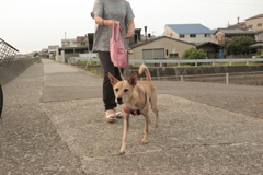 マリリンは公園で保護されたそう