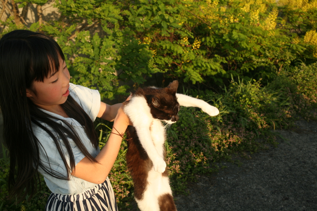 あいりちゃんと猫