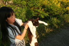 あいりちゃんと猫