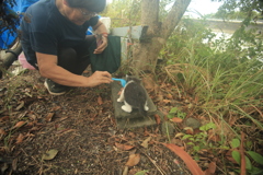 たんと食べなさい