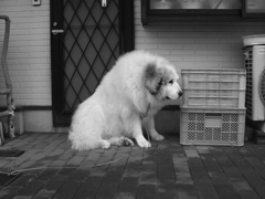 朝@2020‐03‐01