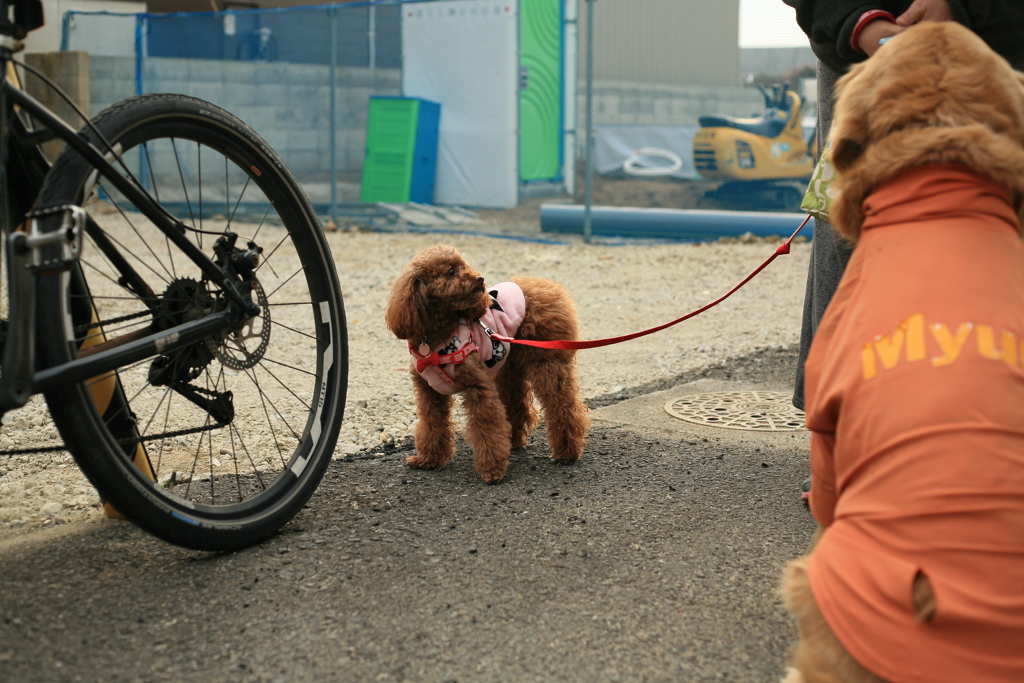 モナちゃんとみゅうちゃん