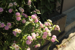 朝＠2020‐08‐16