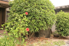 Eos30D全く問題ないですな　!(^^)!