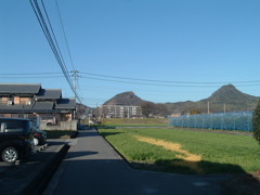 CCD機は写りが優しいな