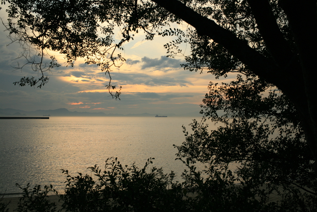 ええかっこしいの写真