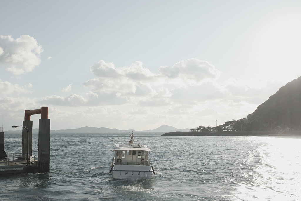 Eos20Dは逆光が良く写る