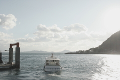 Eos20Dは逆光が良く写る