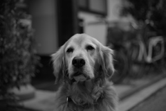 今日も元気なみゅうちゃん