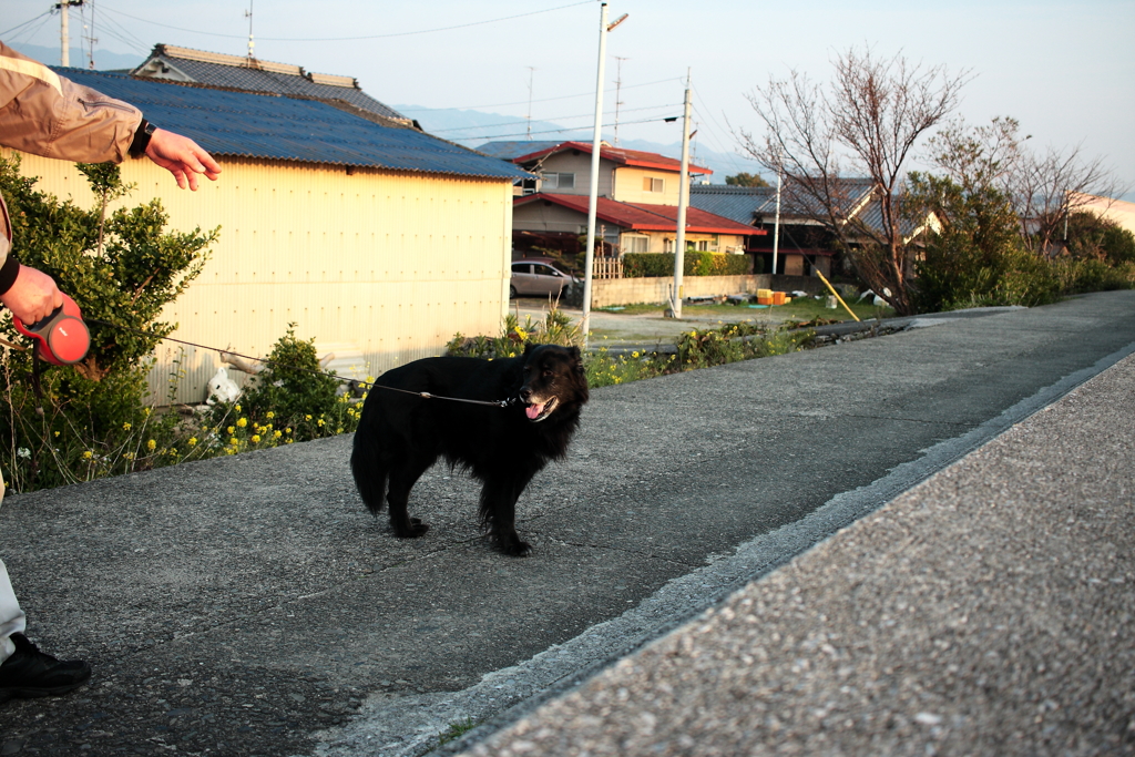 今日も平和な一日　～ただ暇なだけ～