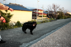 今日も平和な一日　～ただ暇なだけ～