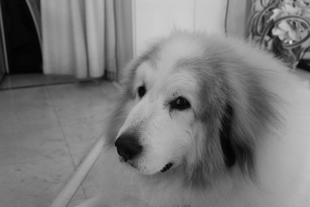 モノクロ＠2020‐03‐21