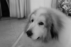 モノクロ＠2020‐03‐21