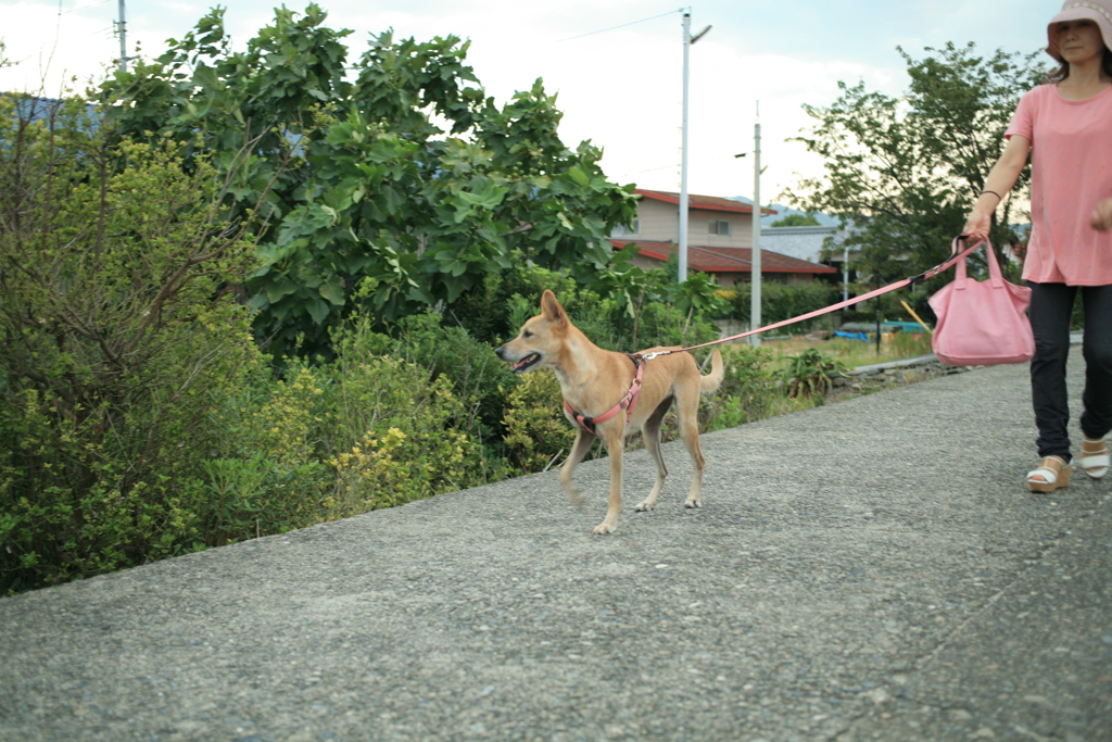 お母さんと散歩してるマリリン