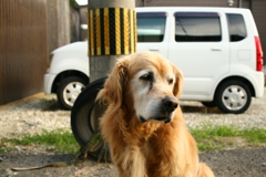 営業本部長みゅうちゃん