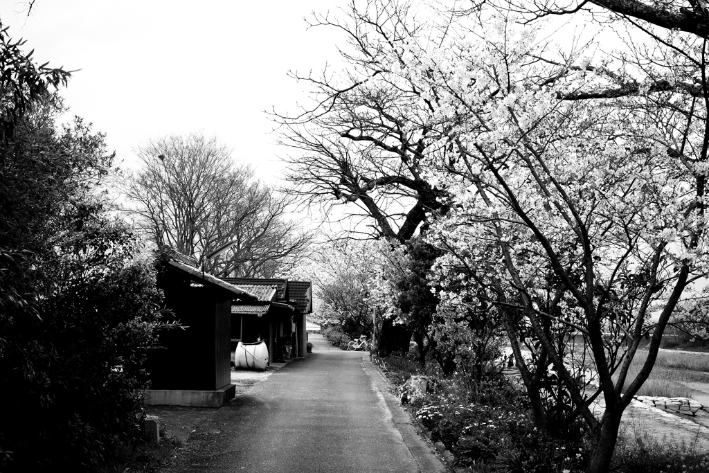 今日も暇だな～～　!(^^)!