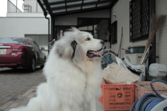 避難勧告くらいじゃだれも避難してない