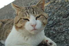 ＠2021‐04‐22