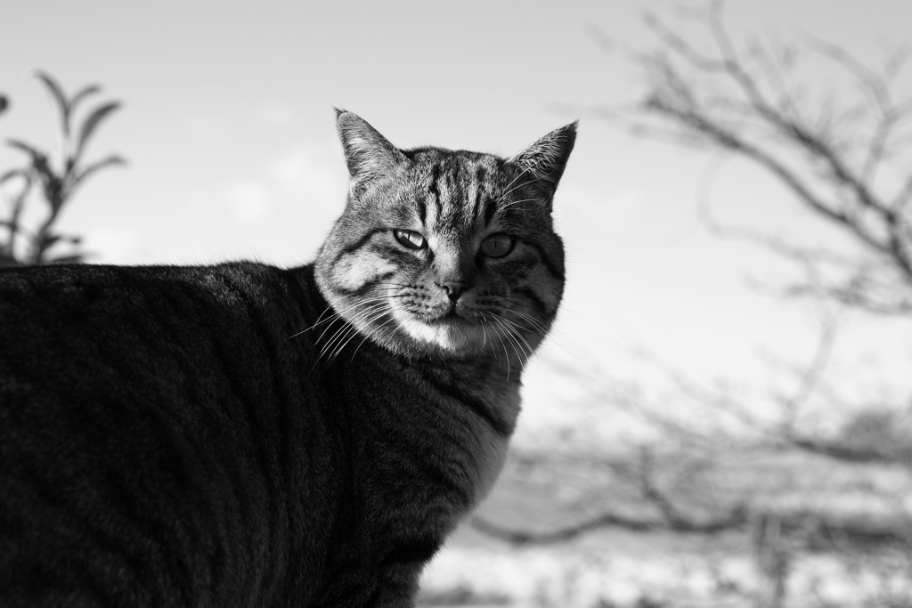 2018写し納　よいお年を！