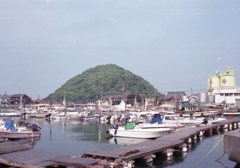 フィルムカメラEos650にて