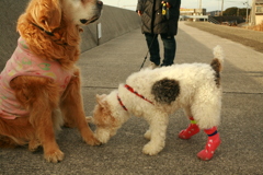 みゅうちゃんとアビィちゃん