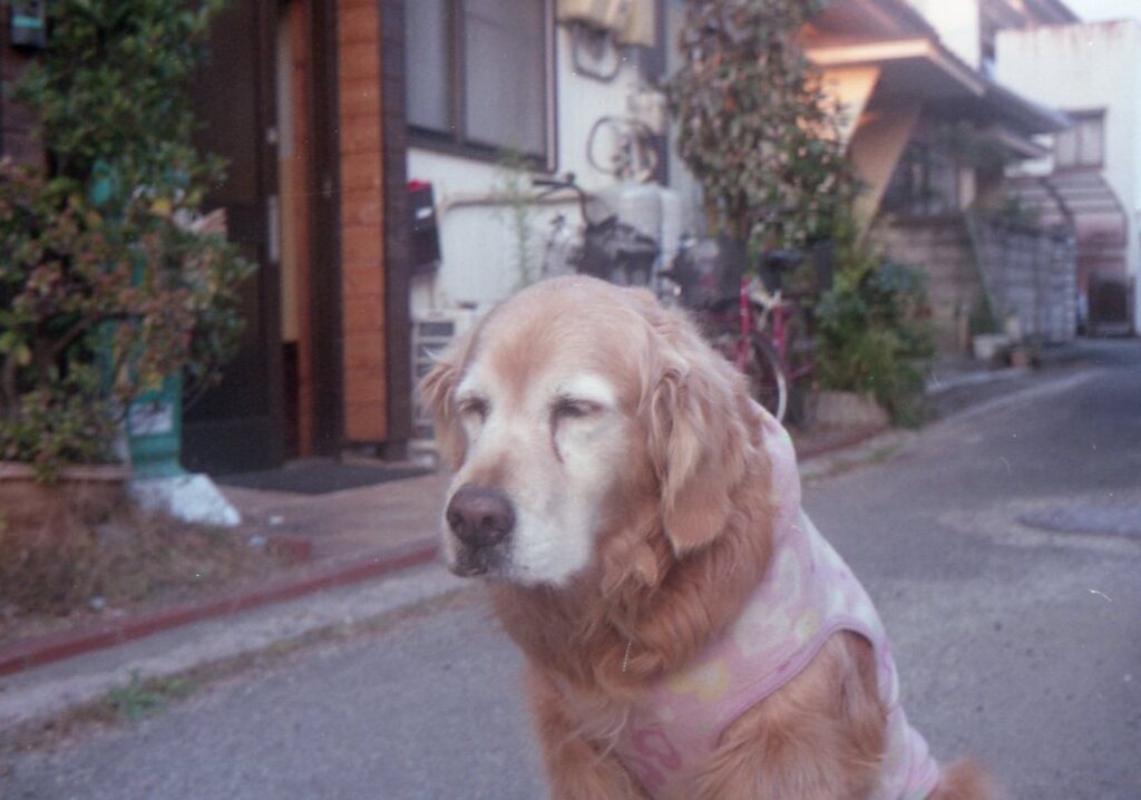みゅうちゃん　Trip35にて