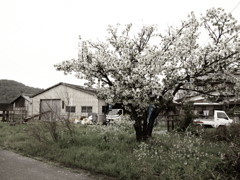 今日もイミフ系写真