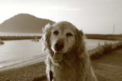 みゅうちゃんと散歩