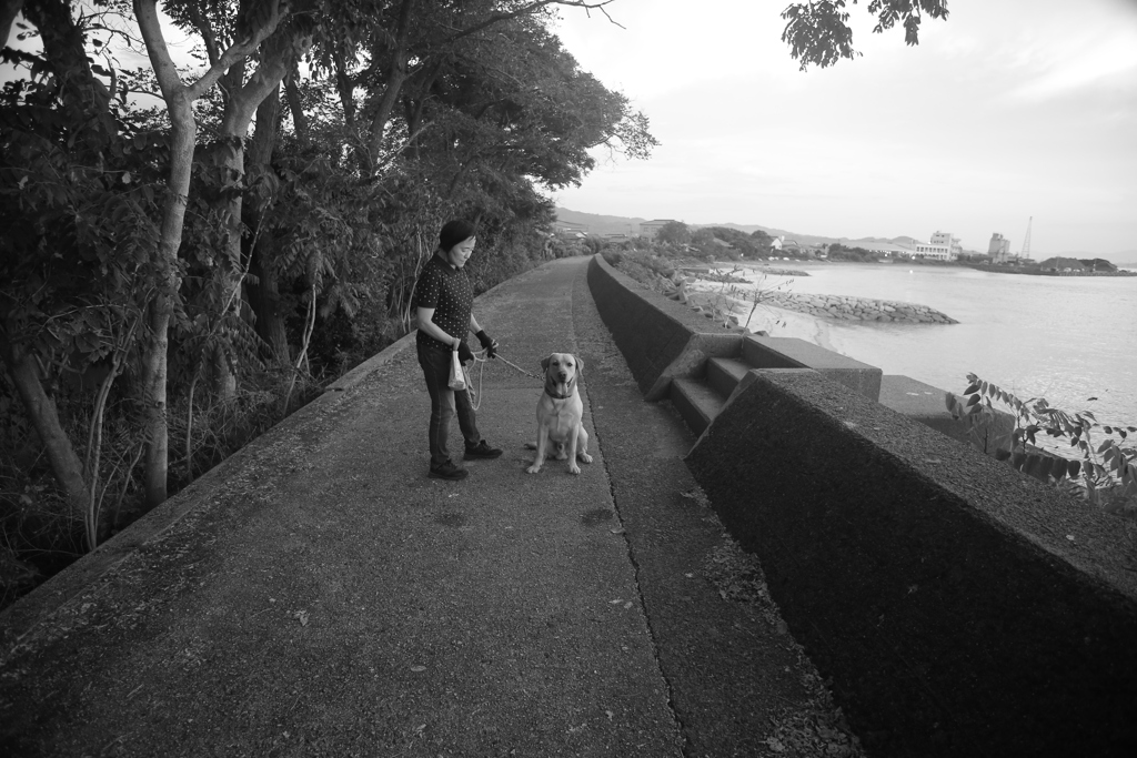 ラガーマン並みの猛アタックしてくるサーブ