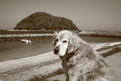 朝、みゅうちゃんと散歩