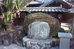 今朝、TripXB3、FujifilmC200にて