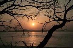 今日も瀬戸に日が暮れる