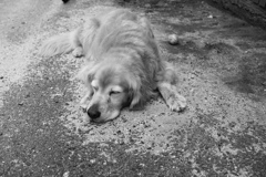 昨日のモノクロ