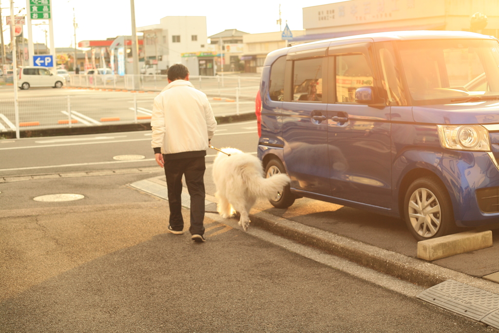 お父さんと散歩に行くココさん