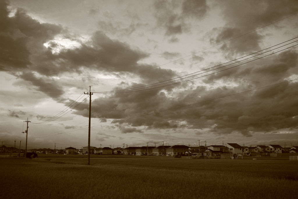 新しい朝が来た　土曜の朝だ