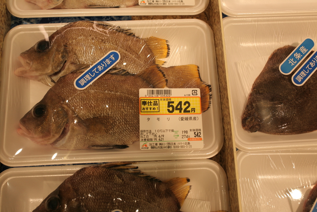 うちの地方じゃタモリというのです