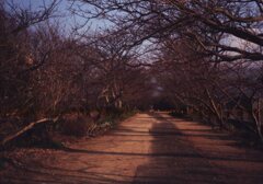 Trip35にて近所写真