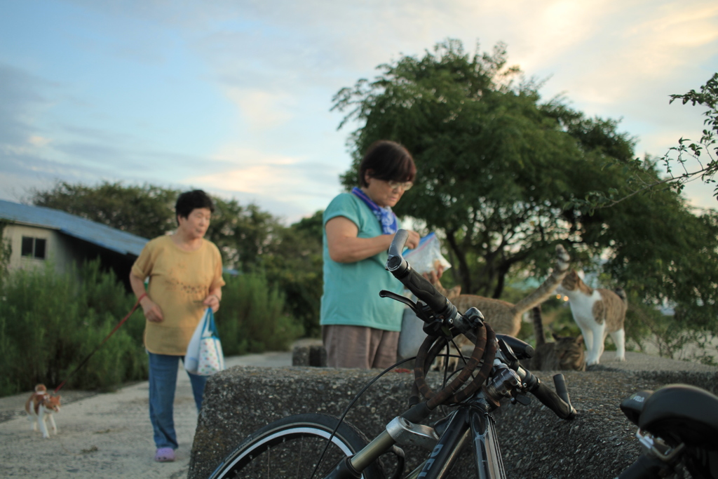 おばちゃんず登場