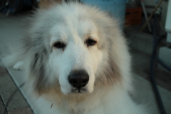 @2017-11-23 勤労感謝の日