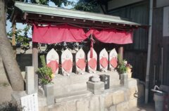 今朝、TripXB3、FujifilmC200にて