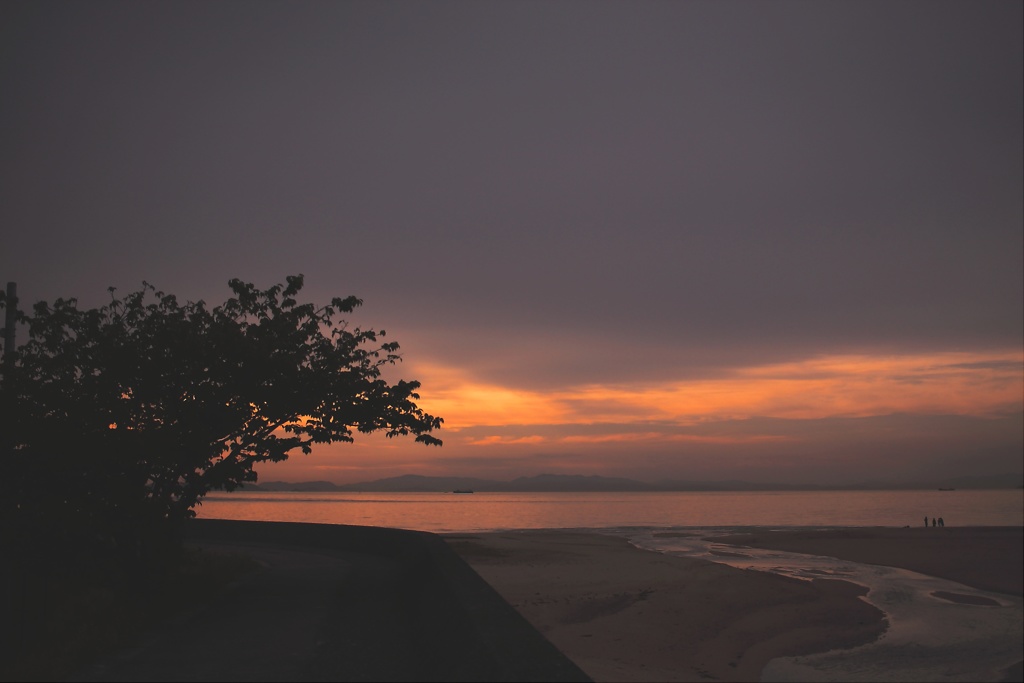 フォトスケッチャーにて