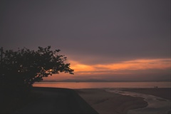 フォトスケッチャーにて