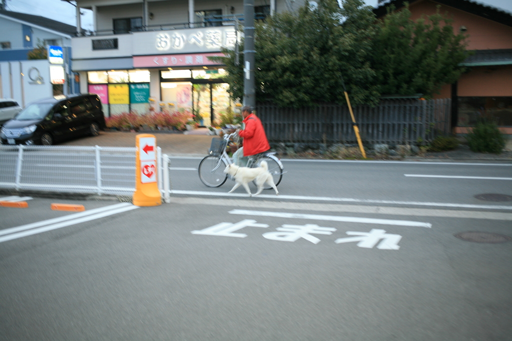 ついていきますぜ！お父ちゃん