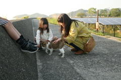 トム君と奥本さん