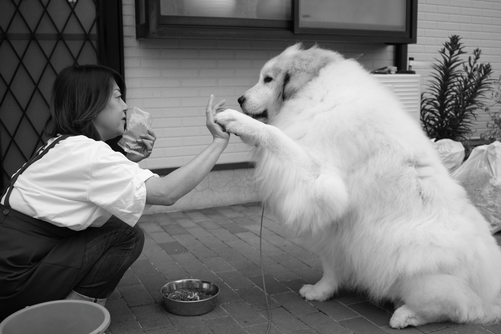 モノクロ　ココさん