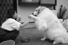 モノクロ　ココさん
