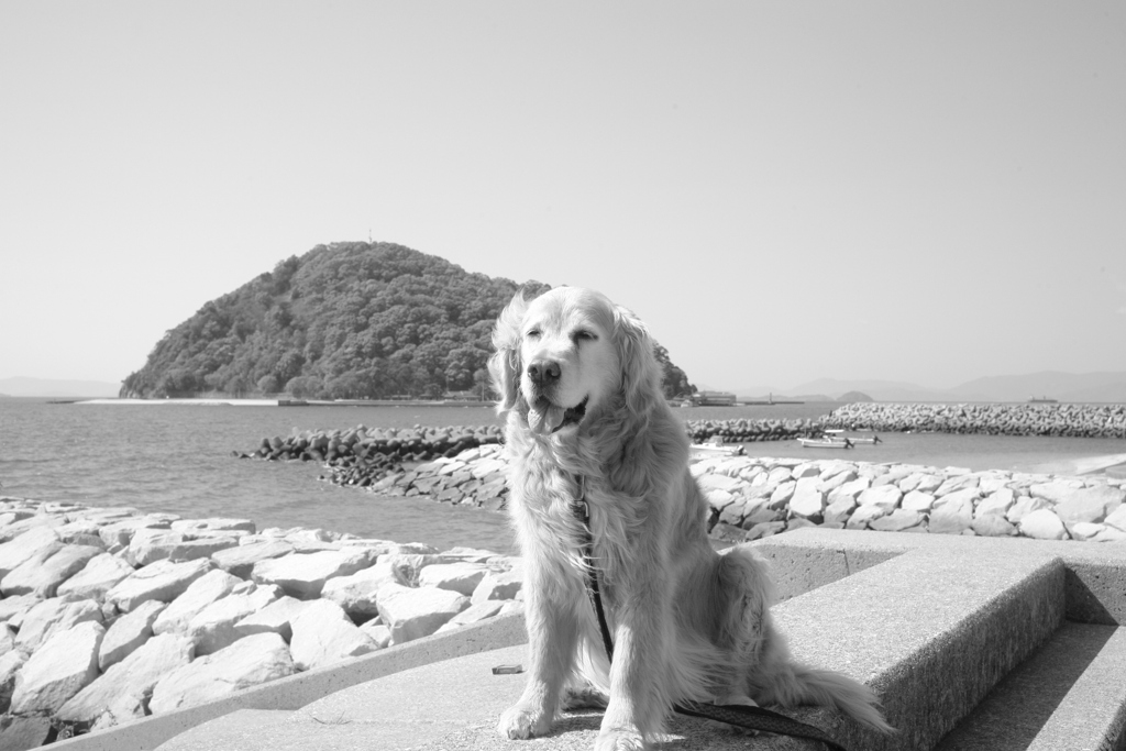 みゅうちゃんと鹿島