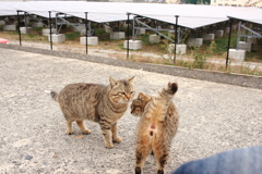 お尻の穴見えてますよ　!(^^)!