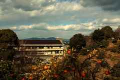 浅海に行く 冷ための仕上げ 1 浅海に行く 冷ための仕上げ 1